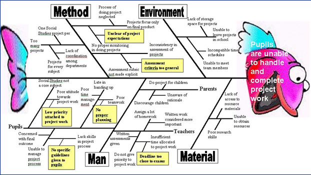 fish bone diagram