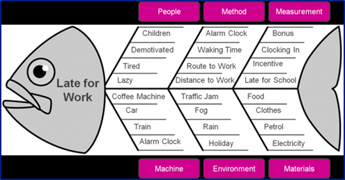 Cause and Effect Diagram (Fish Bone) : Quality Improvement – East