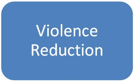 Reducing Harm from Violence