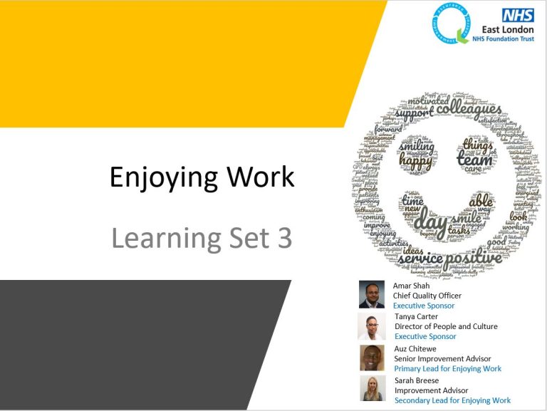 Enjoying Work Cohort 3 – Learning set 3 slides