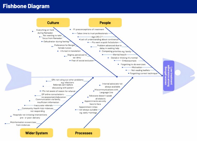 Fishbone diagram illustrating the team’s understanding of the problem