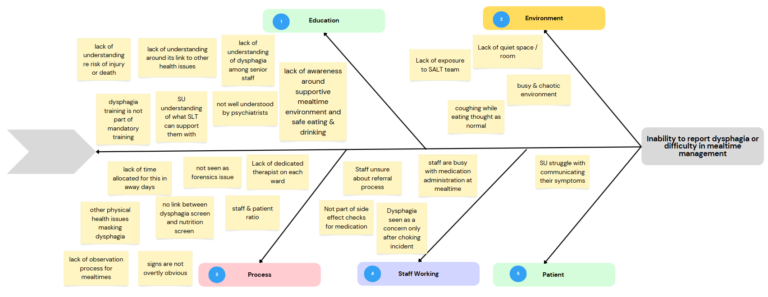 Fishbone diagram