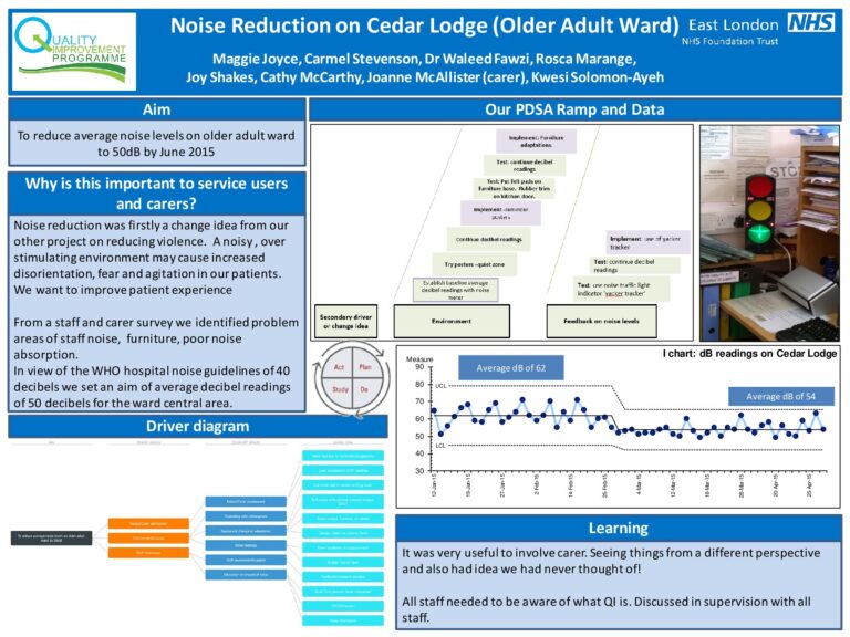 Noise Reduction on Cedar Lodge (Older Adult Ward)