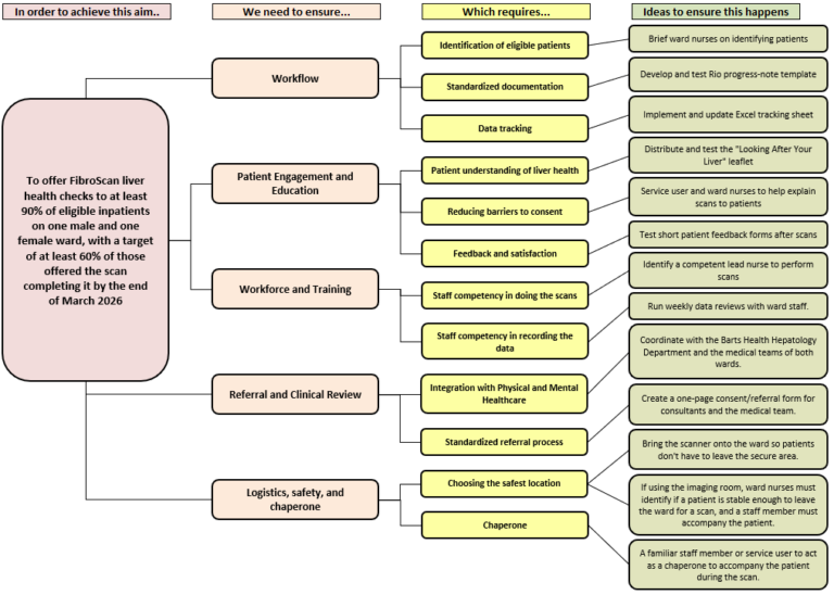 Driver diagram showing the team's theory of change